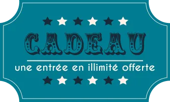 Ty Circus Parc De Jeux Brest Pastille